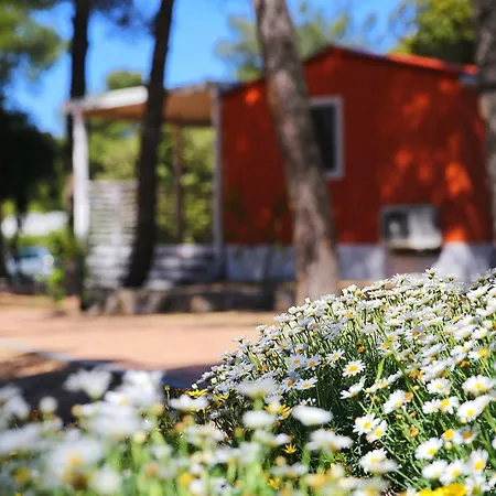 Park Soline Mobile Homes Biograd Na Moru